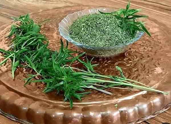 تصویر 1 از قیمت خرید پودر سبزی مرزه + فروش ویژه